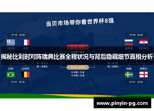 揭秘比利时对阵瑞典比赛全程状况与背后隐藏细节真相分析