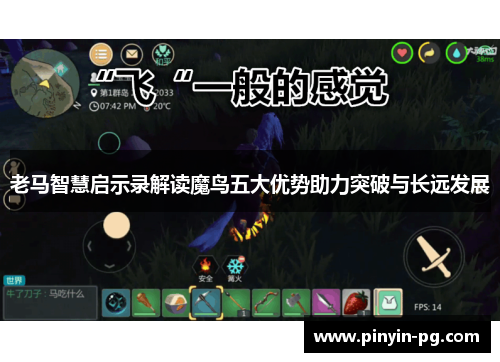 老马智慧启示录解读魔鸟五大优势助力突破与长远发展 老马智慧启示录解读魔鸟五大优势助力突破与长远发展