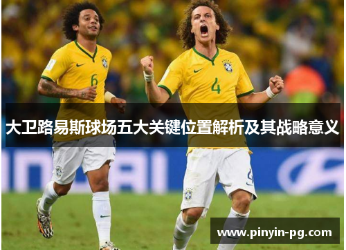 大卫路易斯球场五大关键位置解析及其战略意义 大卫路易斯球场五大关键位置解析及其战略意义