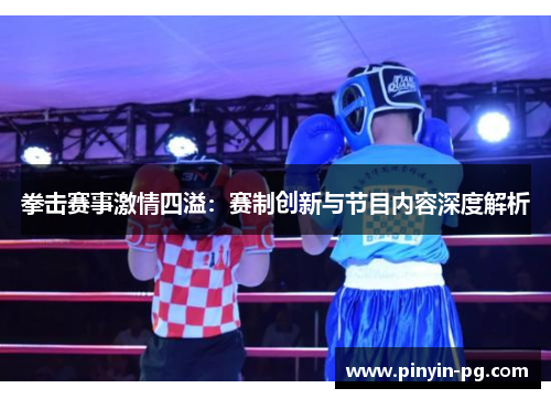 拳击赛事激情四溢：赛制创新与节目内容深度解析