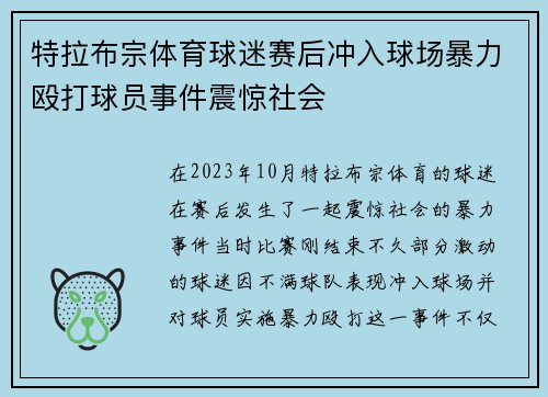 特拉布宗体育球迷赛后冲入球场暴力殴打球员事件震惊社会 特拉布宗体育球迷赛后冲入球场暴力殴打球员事件震惊社会